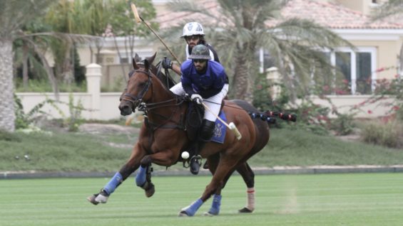 891618E5-12CA-41BC-AADB-1ED8E99E55B7