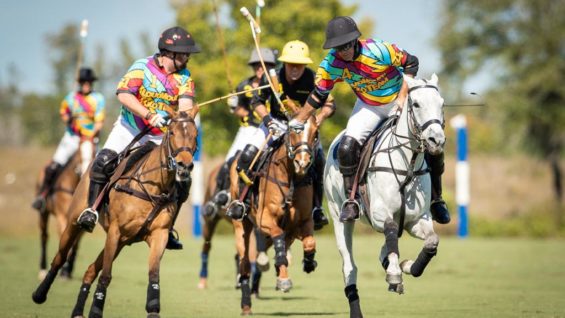 WhatsApp Image 2022-01-19 at 14.39.03