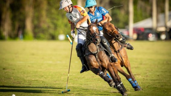 WhatsApp Image 2022-01-19 at 20.26.51