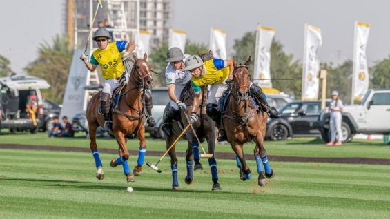 WhatsApp Image 2022-01-30 at 7.21.18 PM