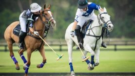 WhatsApp Image 2022-02-08 at 8.11.20 PM