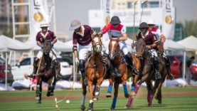 WhatsApp Image 2022-02-12 at 9.14.27 PM