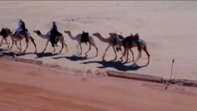 Richard Mille AlUla Desert Polo 2022 – Final Day