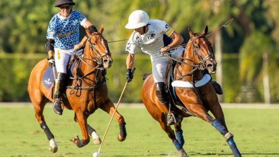 PHOTO-2022-03-21-21-52-48