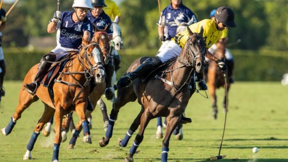 PHOTO-2022-03-26-08-11-45