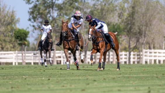 WhatsApp Image 2022-03-01 at 9.46.02 PM