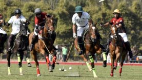 WhatsApp Image 2022-03-02 at 22.28.20