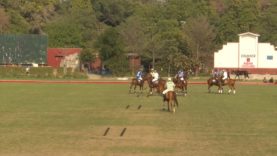 Quaid-E-Azam Gold Cup – Diamond Paints vs Rough Riders