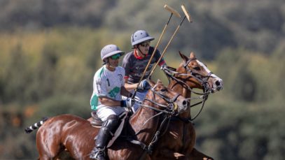 0005fa7f-5685-4b7f-a728-dfb2ff88d72e