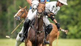 PHOTO-2022-04-01-18-00-36