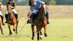 PHOTO-2022-04-02-19-53-58