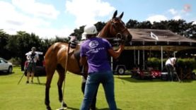 US Open – Pablo Mac Donough