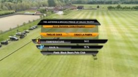 Prince Of Wales Trophy – Twelve Oaks v Cibao La Pampa