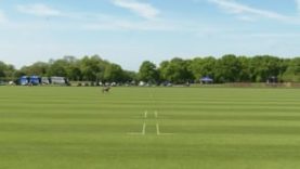 The Justerini & Brooks Prince of Wales – Park Place vs Vikings