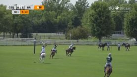 Las Brisas Chicago Polo 12 Goal – G Squared v Las Brisas