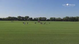 Las Brisas Chicago Polo 12 Goal – G Squared v Oak Brook Polo