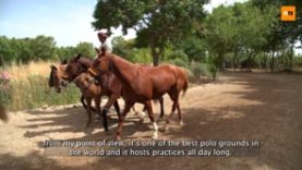 Manuel Cereceda – Sotogrande 2022