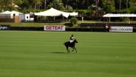 Copa de Oro Alto (Globant) Final – Dubai v Marques de Riscal