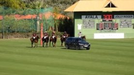 Copa de Oro Mediano (Globant) – Ayala v Jolly Roger