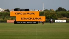 Copa de Plata Bajo (Terralpa) Cibao La Pampa v Estancia Lamar