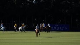 Copa de Plata Mediano (Terralpa) – Almasanta v Nairobi