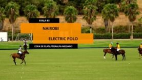 Copa de Plata Mediano (Terralpa) – Nairobi v Electric Polo