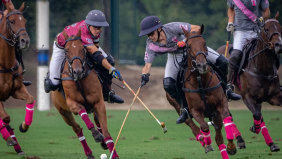 WhatsApp Image 2022-09-02 at 4.56.41 PM