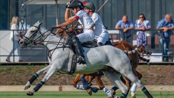 WhatsApp Image 2022-09-02 at 8.24.25 PM