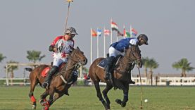 CAD60049-491F-4D04-9315-11144E63BC9B