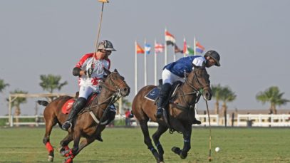 CAD60049-491F-4D04-9315-11144E63BC9B