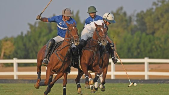 WhatsApp Image 2022-10-14 at 2.54.18 PM