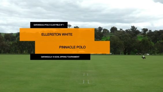 ellerstonwhite