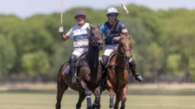 WhatsApp Image 2022-11-18 at 10.59.11