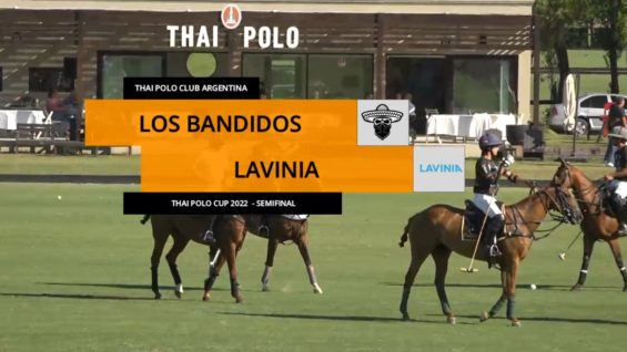 bandidosLAvinia