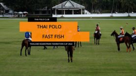 Thai Equestrian Federation Cup – Thai Polo v Fast Fish