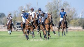 47D01CE5-DA24-439E-8B19-8C0AD8855196