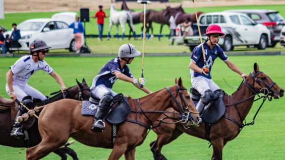 WhatsApp Image 2023-01-07 at 9.53.19 AM