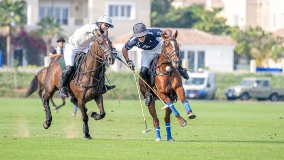 WhatsApp Image 2023-01-10 at 12.46.39 PM