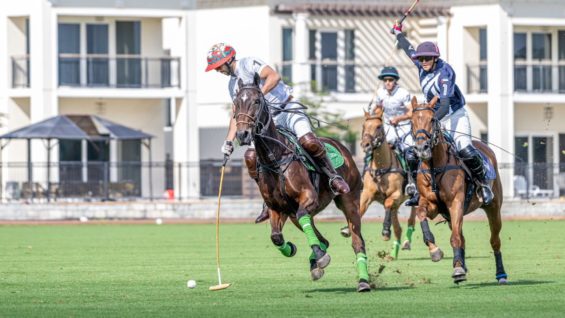 WhatsApp Image 2023-01-28 at 21.08.10