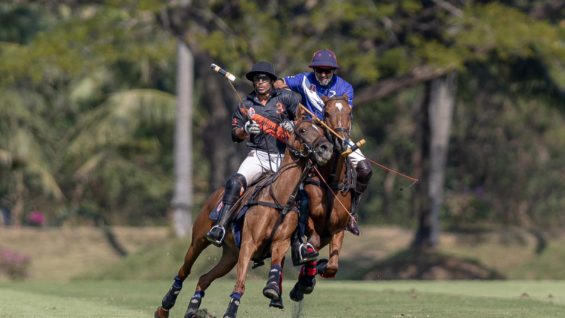 WhatsApp Image 2023-01-29 at 10.33.21 AM