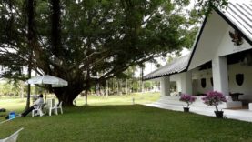 B. Grimm Thai Polo Master 2023 – 22BR v Thai Polo