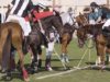 Highligh UAE Polo Federation Cup