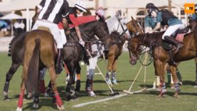 Highligh UAE Polo Federation Cup