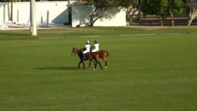 Sultan Bin Zayed Cup – Ankora vs. Ghantoot