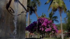 Thai Polo Open 2023 – Thai Polo v B Grimm