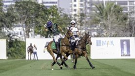 DSC_2288 copy – Copy