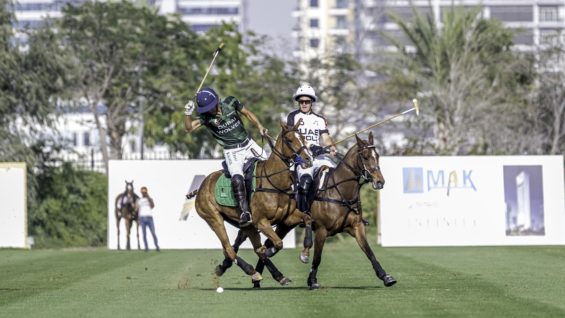 DSC_2288 copy – Copy