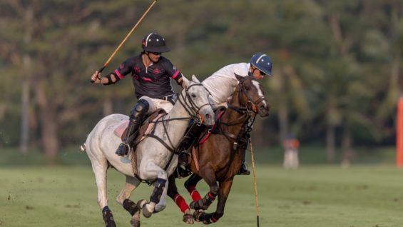 TNL 2023-02-17 at 17.12.43