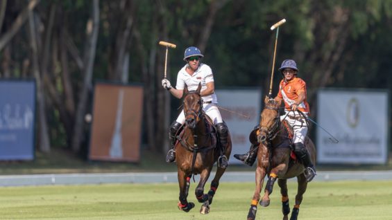 WhatsApp Image 2023-02-12 at 2.51.51 PM