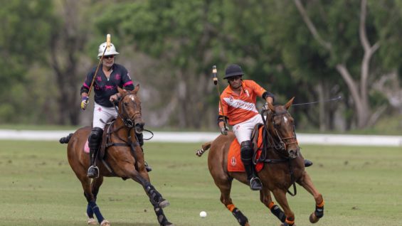 WhatsApp Image 2023-02-12 at 20.40.13